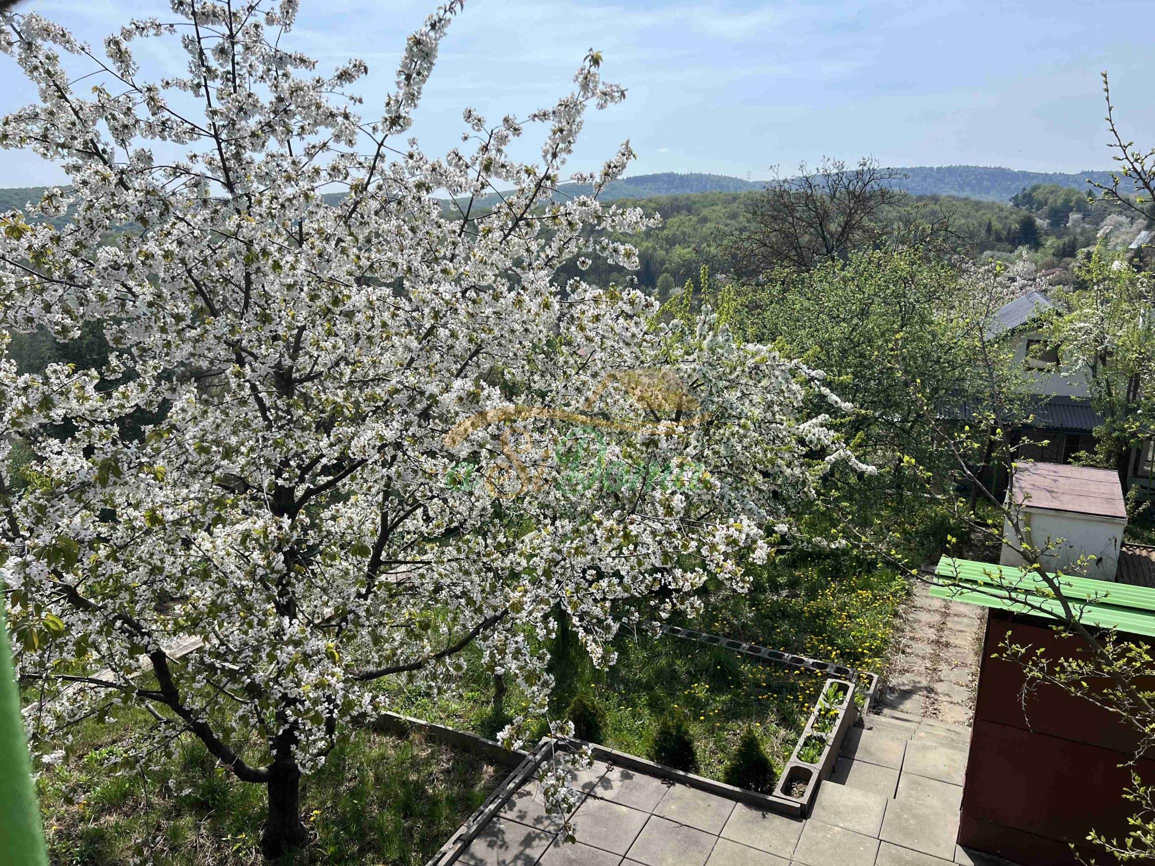 Rekreačná chata s krásnym výhľadom, Košice - Kavečany - fotografia 30