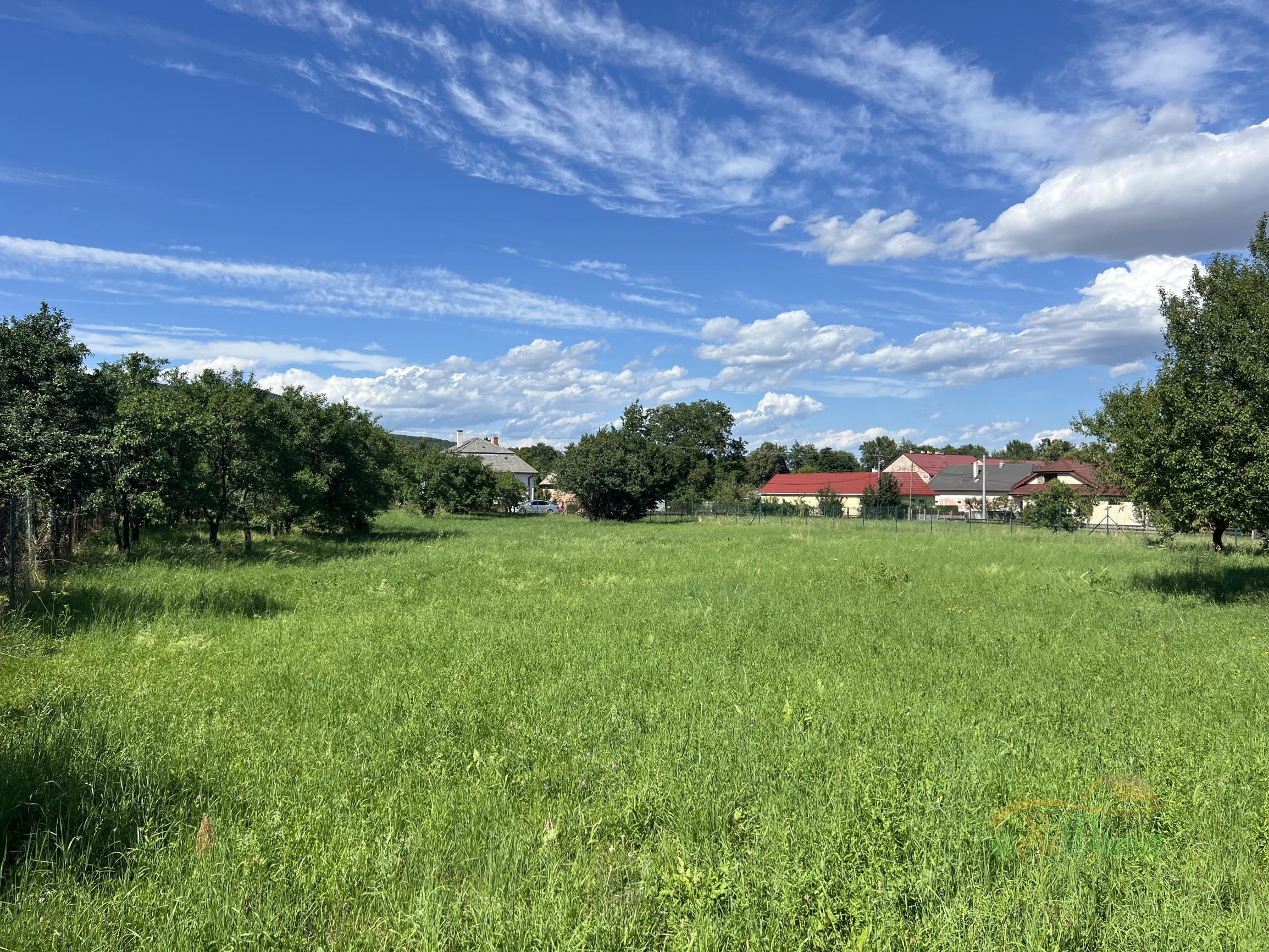 Krásny široký rovinatý pozemok pre rodinné domy, Bačkov - fotografia 3