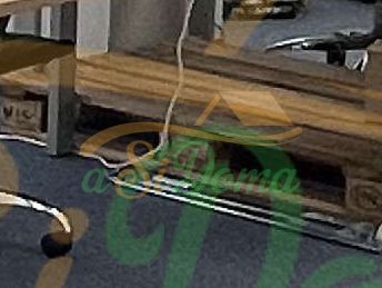 1723381268-1.jpg