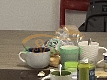 1731919052-9.JPG