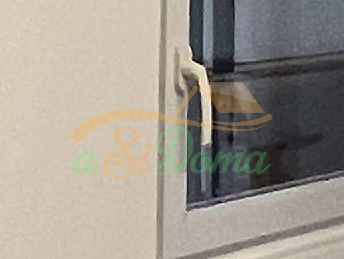 1731919053-10.JPG