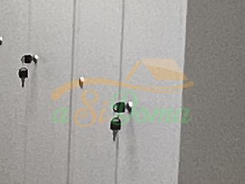 1731919058-12.JPG