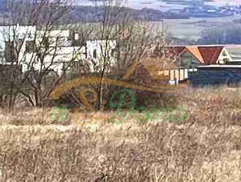 1743287452-1-(1).jpg