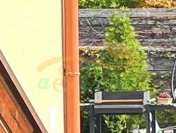 1747205764-2.jpg