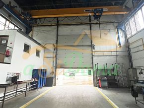 1731919036-2.JPG