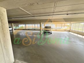 1738399267-4.JPG