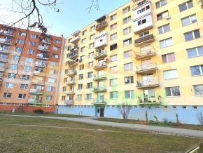 1741426884-img_2964.JPG